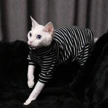 Ribbed Four-Leg Cat Sweater, Warm Base Layer For Autumn/Winter, Comfortable For Indoor Play, Suitable For Hairless Cats & Devon Rex, High Elasticity & Skin-Friendly Ribbed Knit - Green - View 5