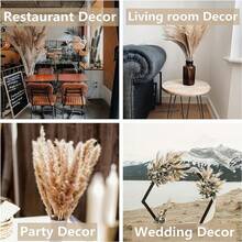 100 PCS  Pampas Grass Bundle - Dried Rattan Reeds For Boho Home Decor, Wedding Centerpieces, Christmas Party Supplies. - 100 CHIẾC - Xem 4