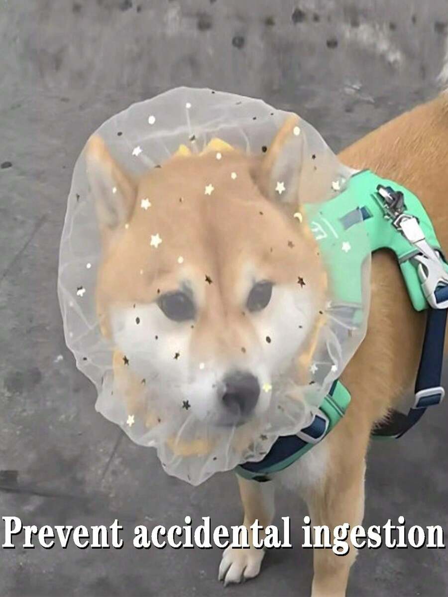 防咬网状狗嘴套,适用于小型犬(如贵宾犬和比熊犬),防止咬伤和意外吞食,舒适透气,专为中小型犬设计,防止幼犬舔舐。 - 彩色 - 查看 1