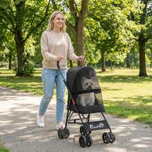 PawHut Foldable Dog Stroller With Mesh Windows For Mini Dogs - Black - View 1