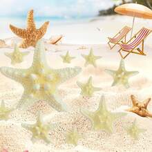20pcs Natural Starfish Shells Five Finger Real Starfish Bulk Christmas Fish Tank Ornaments For DIY Crafts Nautical Beach Theme Party Home Wedding Decorations, 2 Sizes - Suit - View 6
