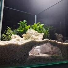 Vintage Style Stone Arch Cave Decor For Aquarium Landscaping, Fish Hiding Tunnel, Suitable For Aquarium Decor (Can Also Be Used For Terrestrial Animal Habitats) - A - View 2