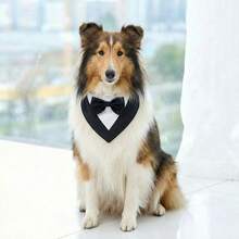 1件套狗狗燕尾服，狗狗婚礼头巾围巾套装，宠物领结项圈，可调节狗狗正装，适合生日派对，适合小型、中型和大型犬猫，宠物情人节服装 - 黑色 - 查看 9
