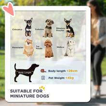 PawHut Foldable Dog Stroller With Mesh Windows For Mini Dogs - 綠色 - 查看 3