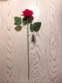 单枝仿真玫瑰婚礼花卉装饰假花，适用于家居和客厅装饰，丝绸花，人造花。适合家居装饰、婚礼花束中心装饰和办公室布置。 - 彩色 - 查看 16