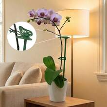 Bộ 10/20 cọc đỡ cây có thể điều chỉnh độ dài kèm kẹp và dây buộc, cọc đỡ cây vô hình, kẹp cố định cây leo tường cho cây Monstera, lan, cà chua, dây leo và cây trồng trong nhà và ngoài trời. - Giá đỡ cây - Xem 4
