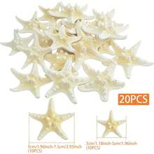20pcs Natural Starfish Shells Five Finger Real Starfish Bulk Christmas Fish Tank Ornaments For DIY Crafts Nautical Beach Theme Party Home Wedding Decorations, 2 Sizes - Suit - View 4