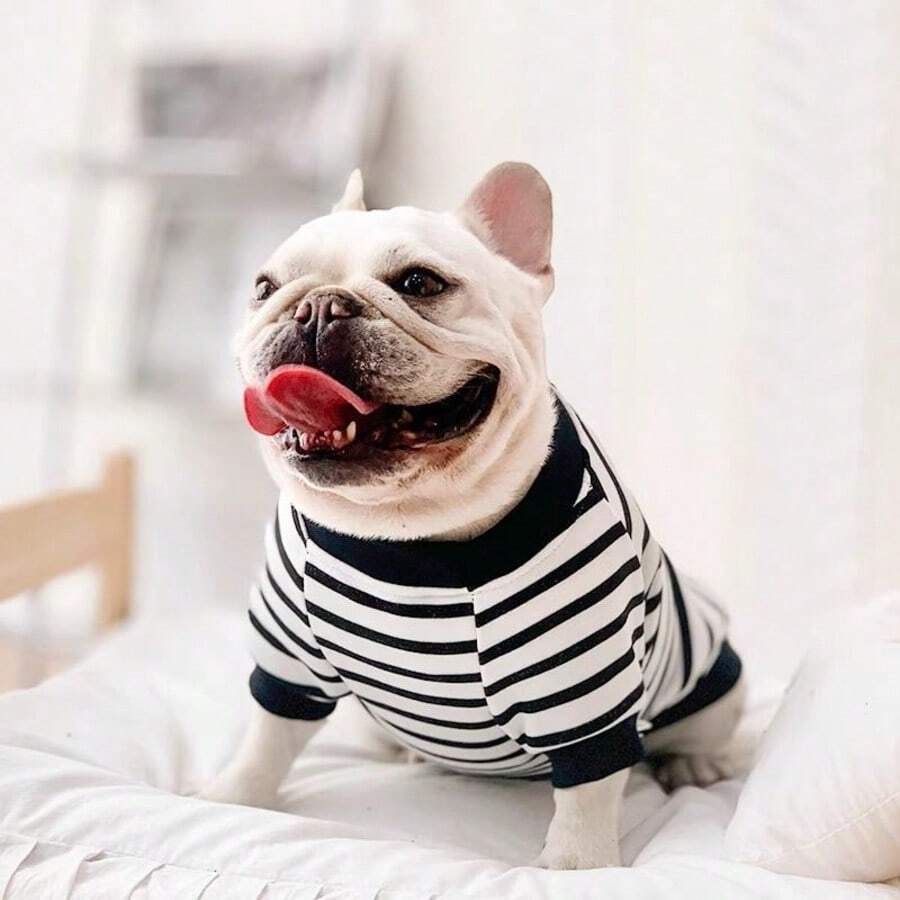 1件宠物衣服，可爱时尚的小型犬猫服装，舒适复古背心 - 咖啡条纹 - 彩色 - 查看 1