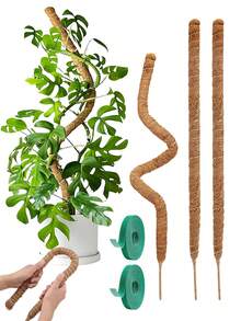 Soporte flexible de poste de musgo, adecuado para plantas trepadoras de interior, plantas en maceta trepadoras, soportes para plantas de interior altas, plantas ornamentales, Monstera, Sansevieria, Philodendron - Palitos de palma de coco - Ver 8