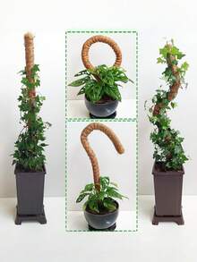 Soporte flexible de poste de musgo, adecuado para plantas trepadoras de interior, plantas en maceta trepadoras, soportes para plantas de interior altas, plantas ornamentales, Monstera, Sansevieria, Philodendron - Palitos de palma de coco - Ver 9