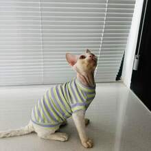 Hairless Cat, Devon Rex, British Shorthair Cat Summer Ribbed Vest, Purple And Yellow Contrast Ribbed, Comfortable And Cute Spring/Summer Outfit, Suitable For Small To Medium Cats - Purple - View 8