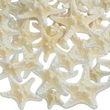 20pcs Natural Starfish Shells Five Finger Real Starfish Bulk Christmas Fish Tank Ornaments For DIY Crafts Nautical Beach Theme Party Home Wedding Decorations, 2 Sizes - Suit - View 1