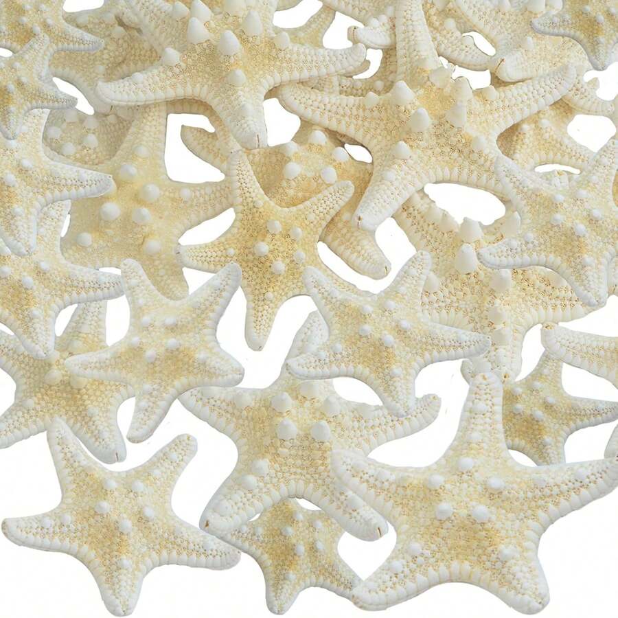 20pcs Natural Starfish Shells Five Finger Real Starfish Bulk Christmas Fish Tank Ornaments For DIY Crafts Nautical Beach Theme Party Home Wedding Decorations, 2 Sizes - Suit - View 1