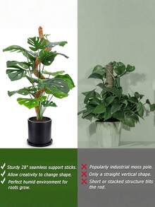 Soporte flexible de poste de musgo, adecuado para plantas trepadoras de interior, plantas en maceta trepadoras, soportes para plantas de interior altas, plantas ornamentales, Monstera, Sansevieria, Philodendron - Palitos de palma de coco - Ver 10