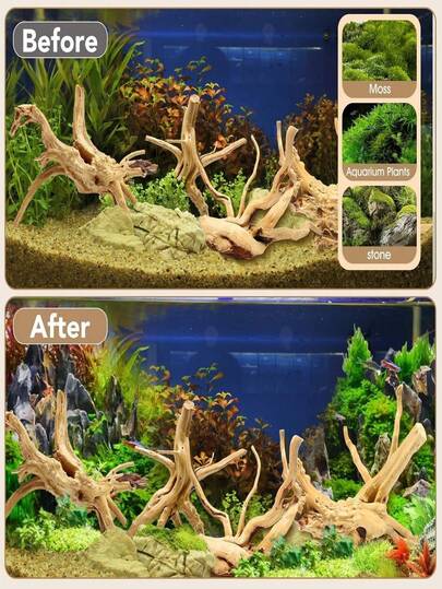 4pcs Natural Driftwood, Rhododendron Wood, Suitable For: Reptile, Aquarium Pet Habitat, Aquarium Decor - Random Shapes