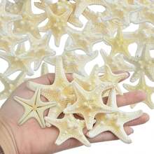 20pcs Natural Starfish Shells Five Finger Real Starfish Bulk Christmas Fish Tank Ornaments For DIY Crafts Nautical Beach Theme Party Home Wedding Decorations, 2 Sizes - Suit - View 2