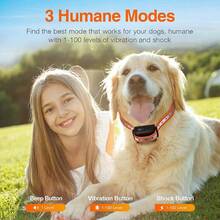 PaiPaitek 2-In-1 Dog Training Collar And Anti-Bark Collar, Remote Control Electronic Dog Collar Suitable For Small, Medium And Large Dogs - Multicolor - View 4