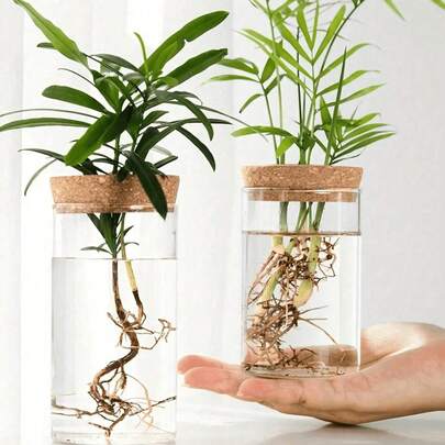1 chậu trồng cây thủy canh để bàn bằng thủy tinh, bình trang trí nhà cửa, chậu cây, chậu hoa trang trí, bình ươm cây, bình trồng cây thủy canh để bàn phòng khách, trang trí bàn ăn, nhà bếp, văn phòng (không bao gồm khay tre), đồ trang trí làm vườn, chậu trồng cây, phụ kiện làm vườn. Quà tặng Ngày Nhà giáo, quà Giáng sinh cho bạn bè và bạn học.