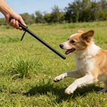 带防滑手柄的狗狗训练棒，干扰逗弄棒，宠物行为训练响片，多场景训练用品 - 黑色 - 查看 1