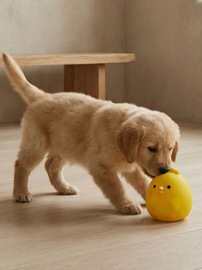 PETSIN Durable Latex Chicken Shaped Dog Toy - Suitable For Small Dogs, Anti-Bite Interactive Toy Ball, Relieve Boredom And Dental Health, Ideal Choice For Puppies And Small Breed Dogs