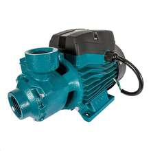 1/2 HP Peripheral Electric Water Pump - Blue - View 4