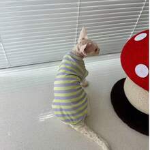 Hairless Cat, Devon Rex, British Shorthair Cat Summer Ribbed Vest, Purple And Yellow Contrast Ribbed, Comfortable And Cute Spring/Summer Outfit, Suitable For Small To Medium Cats - Purple - View 5