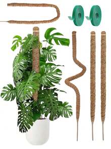 Soporte flexible de poste de musgo, adecuado para plantas trepadoras de interior, plantas en maceta trepadoras, soportes para plantas de interior altas, plantas ornamentales, Monstera, Sansevieria, Philodendron - Palitos de palma de coco - Ver 2
