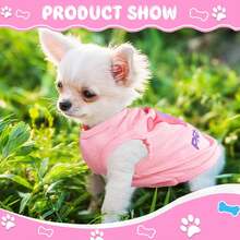 3 Piezas 1 Juego de Ropa de Verano para Mascotas (Adecuado para Perros y Gatos): Chalecos/Chaquetas/Pijamas Ligeros para Perros y Disfraces para Gatos ¡Que los Cachorros Felices Disfruten de sus Aventuras! Ropa para Mascotas Altamente Transpirable, Certificada por Mi Propio Perro - ¡Disfraces Lindos y Divertidos Diseñados para Cachorros, Gatos y Mascotas Felices! Disfraces para Perros, Disfraces para Gatos, Disfraces para Perras Hembra, Disfraces para Perros Macho, Ropa de Invierno para Perros Cálidos, Adecuada para Cachorros como Teddy, Chihuahua y Yorkshire Terrier. - Multicolor - Ver 22