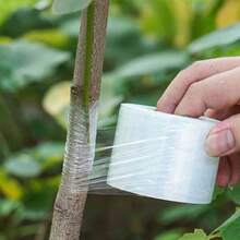 Cinta adhesiva de injerto de PE de alta elasticidad - Película de embalaje transpirable e impermeable para viveros de plantas, adecuada para árboles frutales, brotes, plántulas y ramas - A - Ver 2