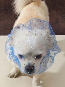 防咬网状狗嘴套，适用于小型犬（如贵宾犬和比熊犬），防止咬伤和意外吞食，舒适透气，专为中小型犬设计，防止幼犬舔舐。 - 彩色 - 查看 4