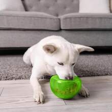 Outward Hound By Planet Dog Snoop Dog Toy U2013 Treatu2011Dispenser Puzzle Ball, Interactive Slow Feeder, Medium To Large Dogs, Bouncy &Amp; Mint-Infused, Green, 5" - ColorA - View 8