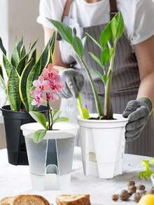 3pcs Automatic Watering Flower Pots, 14cm Transparent Plastic Plant Pots With Drainage Holes, Indoor Seedling Trays And Small Seed Germination Containers, Suitable For Orchids, African Violets, Roses, Tulips, DIY Gardening Labels, Home Decor - Transparent Self-absorbing Flower Pot - View 3