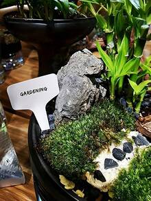 100个/套 可重复使用的T型花园标签,防水塑料植物标记,易于书写,耐候性强,适用于室内外花园,1个装 - 多款 - 查看 6