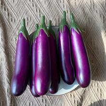 Realistic Fruit & Vegetable Kitchen Decor Models, Teaching Props, Eggplant And Pumpkin Models - 1 Eggplant - View 7