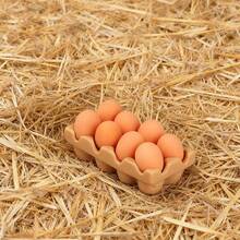 Miniature Scene Decor, Resin Mini Egg Tray, DIY Creative Craft Accessory, Essential Item For Immersive Mini Kitchen, Micro Landscape & Dollhouse Decoration, Favorite Of Handicraft Enthusiasts - Multicolor - View 14