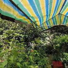 Diese UV-beständige Sonnenschutznetze mit Ösen sind in 12 verschiedenen Größen erhältlich, sind strapazierfähig und reißfest und lassen sich leicht auf Balkonen, Terrassen und an Pools anbringen, um hervorragenden Sonnenschutz, Beschattung und Privatsphäre zu bieten. - Grün - Übersicht 2