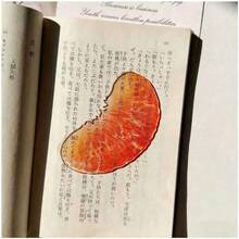 Transparent Acrylic Grape, Apple, Fig Shaped Bookmarks, Cute Book Accessories, Back To School Gifts, Book Club Gifts, Creative Gifts, Can Be Used As DIY Supplies - A - View 14