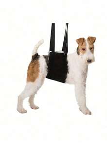 Dog Walking Assistance Harness, Soft Plush Elderly/Injured Dog Assistance Harness, Breathable Rehabilitation Care Harness, Disabled Dog Stairs & Car Assistance Harness, Rear Leg Assistance Harness - Multicolor - View 9