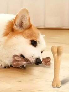 Chew-Resistant Dog Toy - Bone Shaped Interactive Chewing Training Stick, Suitable For All Breeds Chewing Toy - Interactive Dental Stick, Made Of Durable Polyethylene Material - Multicolor - View 5