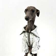 Ropa para perros Galgo Italiano Whippet, Chaqueta con cremallera estampada en azul marino, Ropa de mascota a prueba de viento y cálida de moda - Blanco - Ver 8