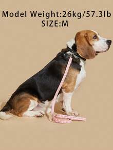 1pc Polyester Material Pink Plaid Pet Leash, Suitable For Medium And Small Cats And Dogs Outdoor Use (Not Suitable For Large Active Dogs) - Pink - View 4