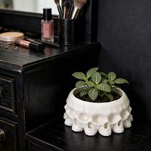 1 chậu trồng cây mọng nước hình đầu lâu phong cách Gothic, bình trang trí lò sưởi dùng cho cây không khí hoặc đồ trang trí theo mùa, chất liệu nhựa nhẹ. - A - Xem 4
