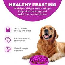 Fun Feeder Slo Bowl Large 4‑Cup Capacity Slow Feeding Medium To Large Dogs N‑Slip Purple Flower Pattern - Màu tím - Xem 3