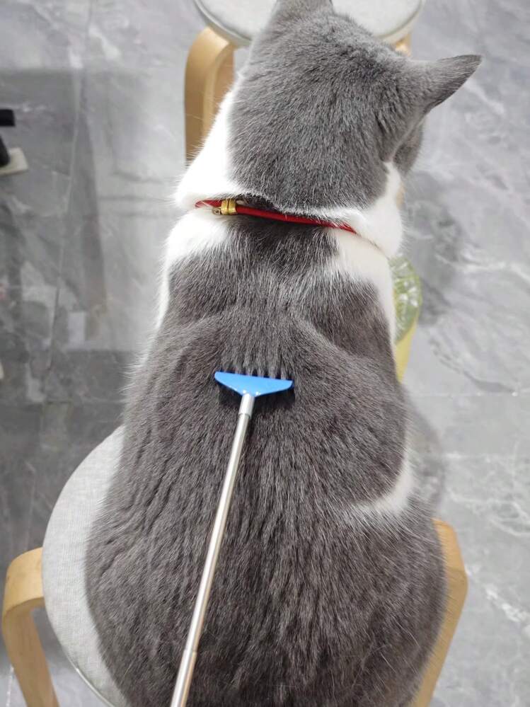 Outil de massage et de grattage extensible pour chat/chien, jouet amusant pour animaux de compagnie : bâton de grattage extensible, manche long pour le massage, fournitures interactives d'auto-divertissement pour chats, jouet anti-ennui pour chat/animal de compagnie - Voir 10