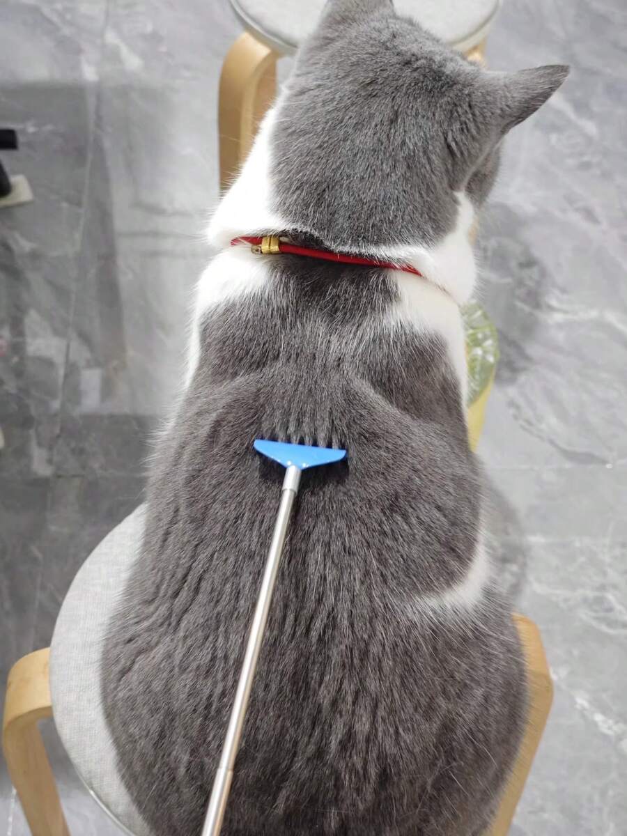 Dụng cụ cào móng và massage cho mèo/chó có thể kéo dài, đồ chơi thú cưng vui nhộn: Gậy cào móng có thể kéo dài, tay cầm dài để massage, đồ chơi tương tác giúp mèo tự giải trí, đồ chơi giúp mèo/thú cưng chống nhàm chán.