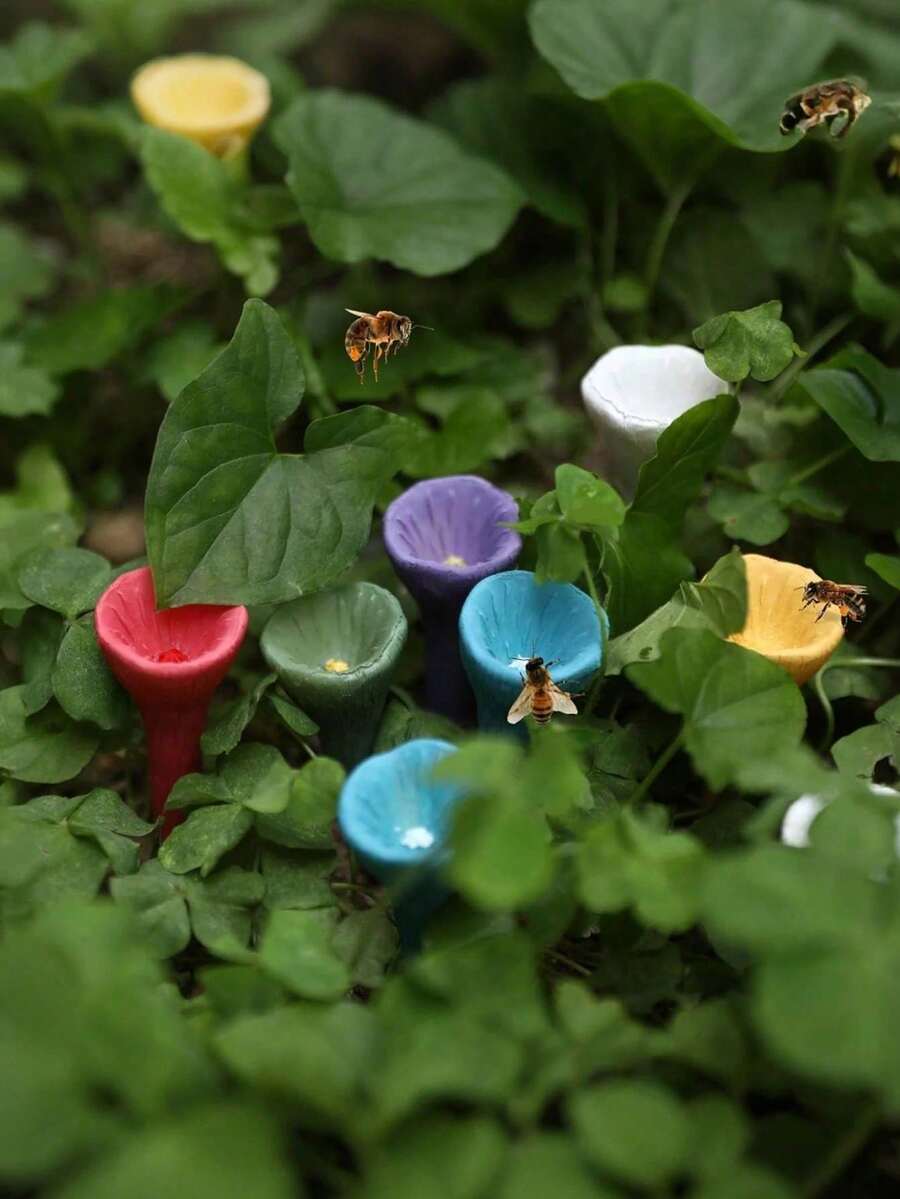 5件套彩色蜜蜂饮水器套装,包含彩色蜜蜂饮水杯、带木质底座的彩色蜜蜂饮水站,适用于户外、花园、阳台、盆栽植物,创意园艺装饰,实用园艺工具 - 彩色 - 查看 1