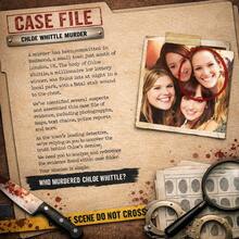 The Mystery Of The Millionaire - Unsolved Cold Case Detective Game | Who Killed Whittier? Real Clues And Evidence - Multicolor - View 2