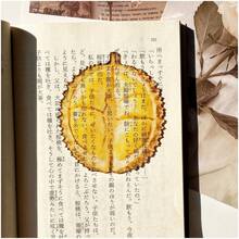 Transparent Acrylic Grape, Apple, Fig Shaped Bookmarks, Cute Book Accessories, Back To School Gifts, Book Club Gifts, Creative Gifts, Can Be Used As DIY Supplies - A - View 13