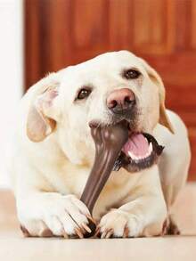 Chew-Resistant Dog Toy - Bone Shaped Interactive Chewing Training Stick, Suitable For All Breeds Chewing Toy - Interactive Dental Stick, Made Of Durable Polyethylene Material - Multicolor - View 4