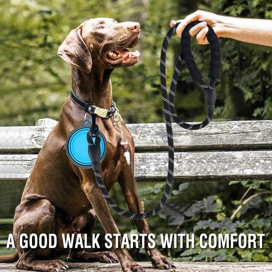 1pc Dog Leash, Reflective Dog Leashes, Highly Reflective Dog Leash, Slip-On Dog Lead, Slip-On Rope Leash, Strong Dog Lead, Pet Lead Leash - Multicolor - View 1